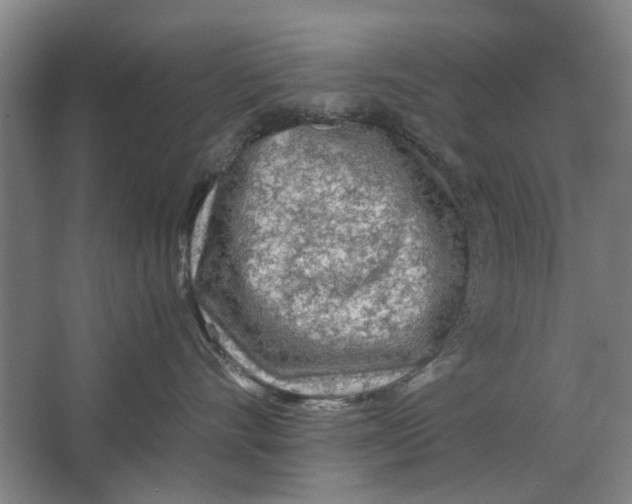 X0000063470528200602101743