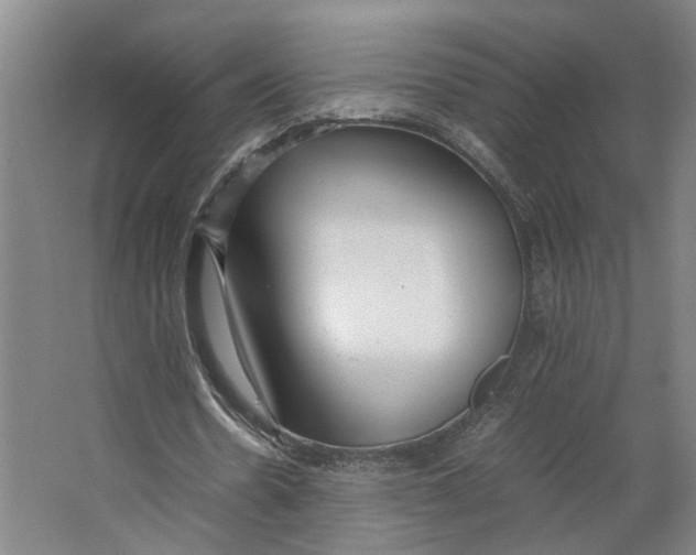 X0000063470530200602101743