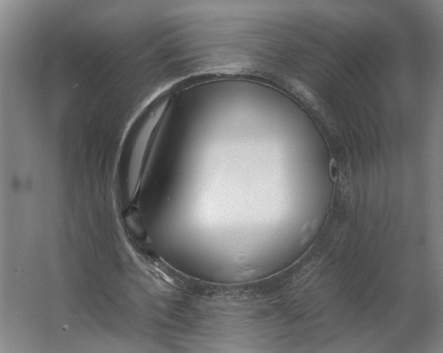 X0000063470532200602101743