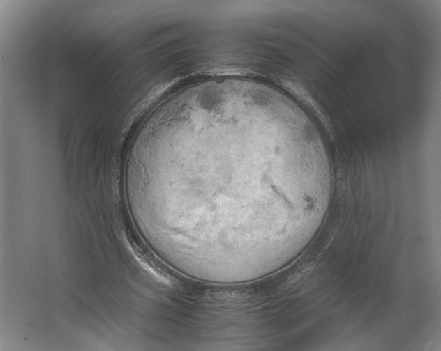 X0000063470533200602101743