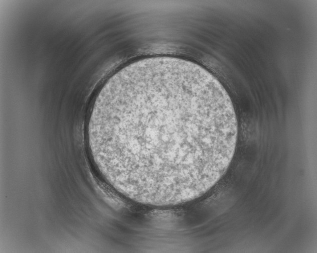 X0000063470534200602101743