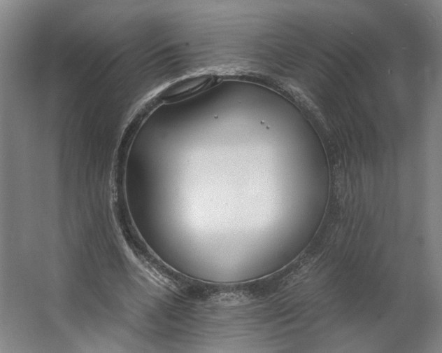 X0000063470536200602101743