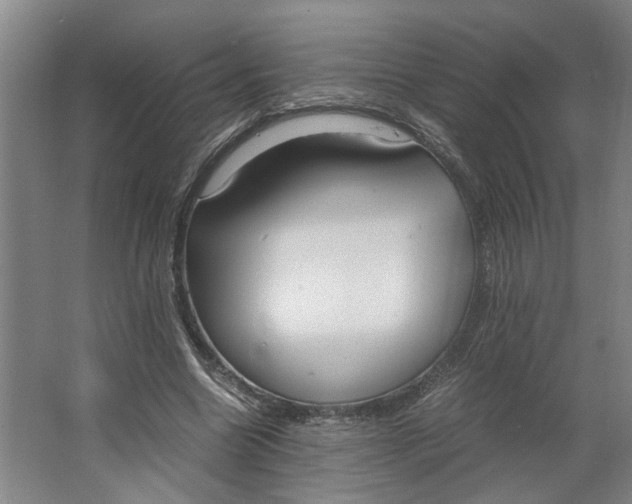 X0000063470538200602101743