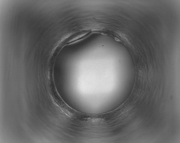 X0000063470539200602101743