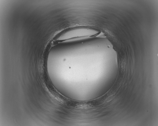 X0000063470540200602101743