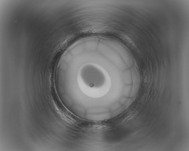 X0000063470542200602101743