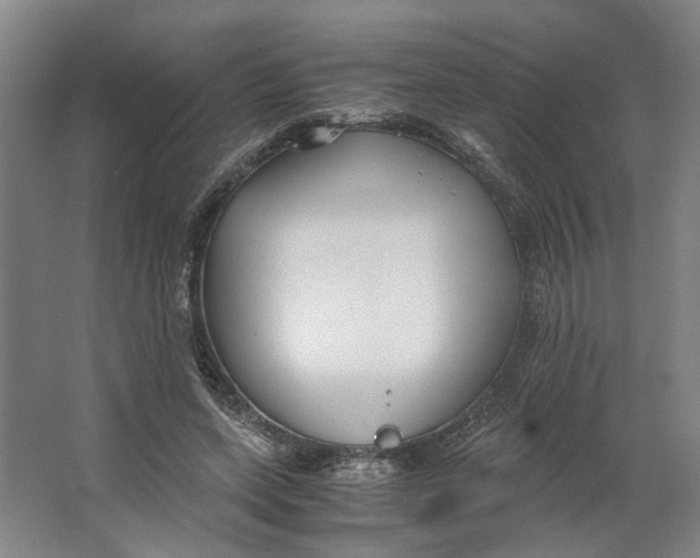 X0000063470543200602101743