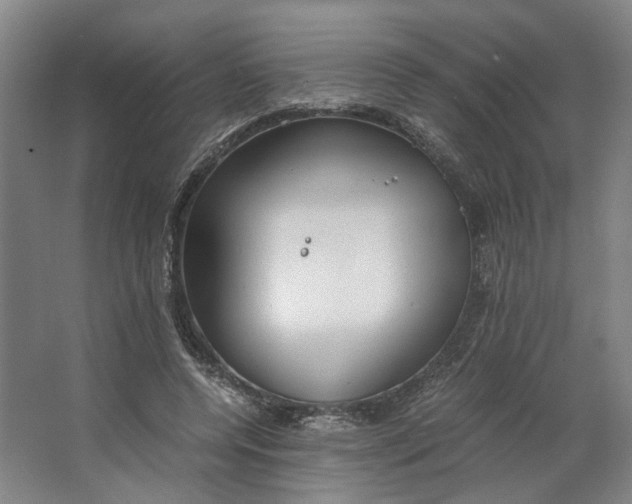 X0000063470544200602101743