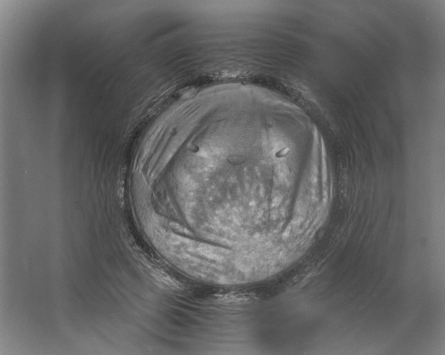 X0000063470545200602101743