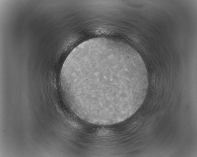 X0000063470547200602101743