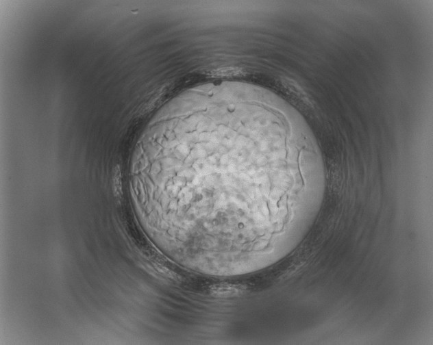 X0000063470549200602101743