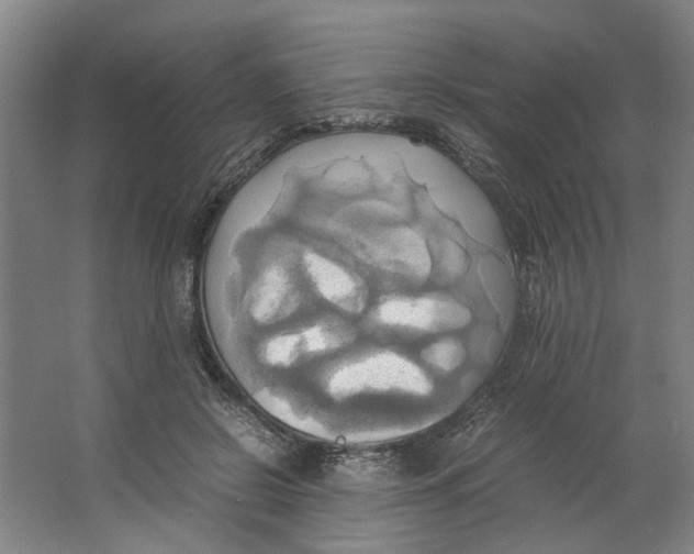 X0000063470550200602101743