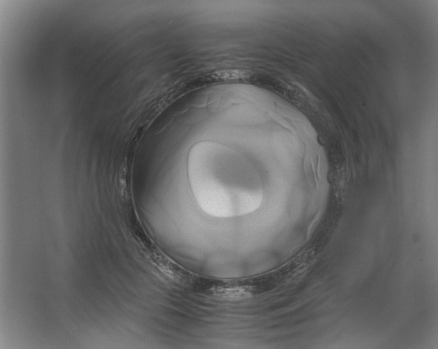 X0000063470553200602101743