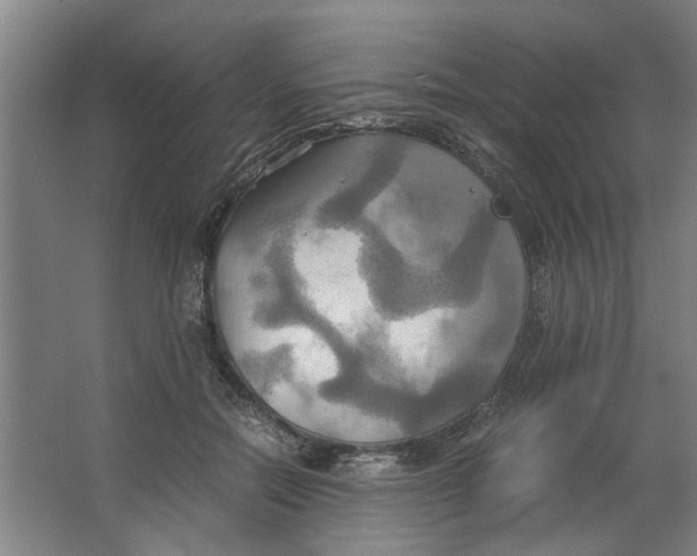 X0000063470554200602101743