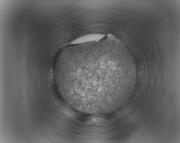 X0000063470555200602101743