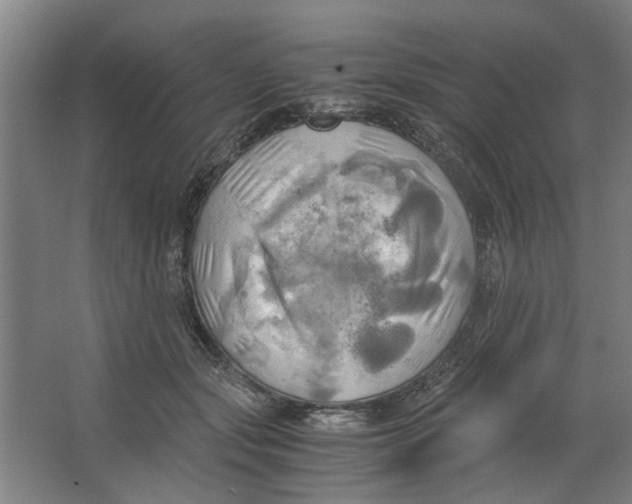 X0000063470557200602101743