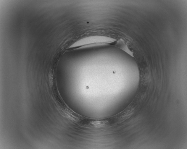 X0000063470558200602101743