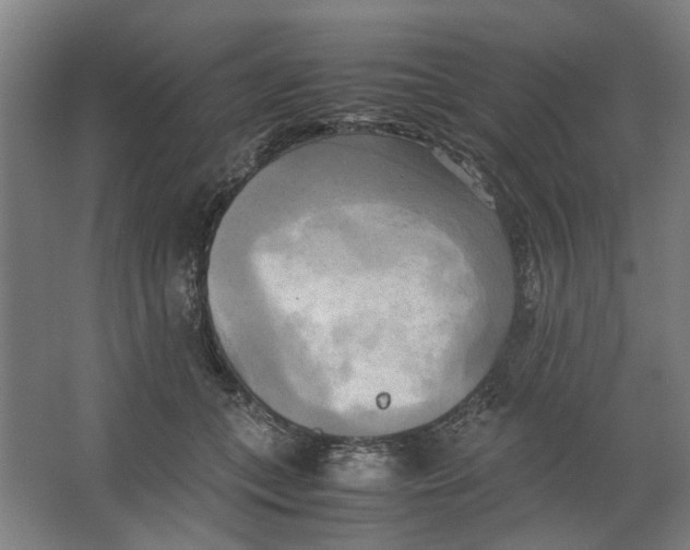 X0000063470559200602101743