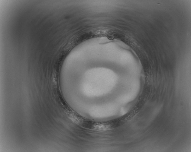 X0000063470561200602101743