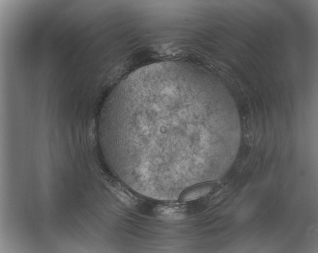 X0000063470563200602101743