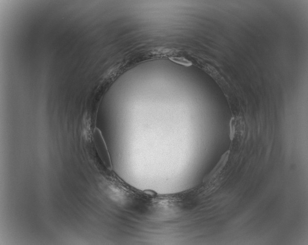 X0000063470564200602101743