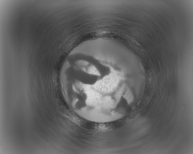 X0000063470565200602101743