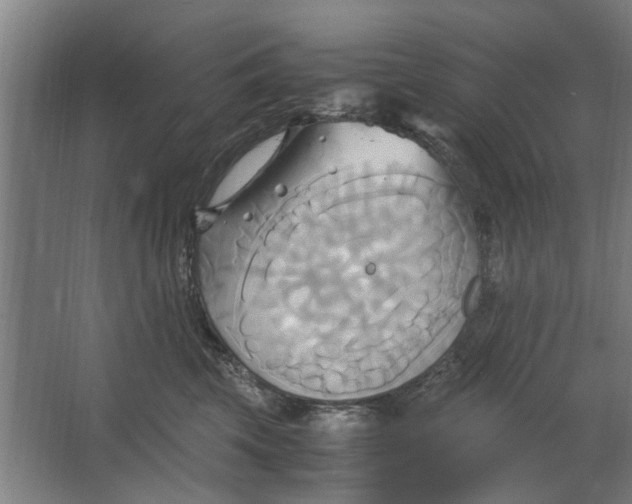 X0000063470569200602101743