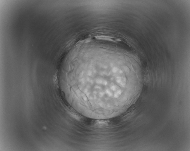 X0000063470573200602101743