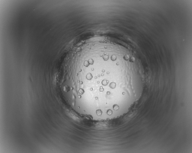 X0000063470574200602101743