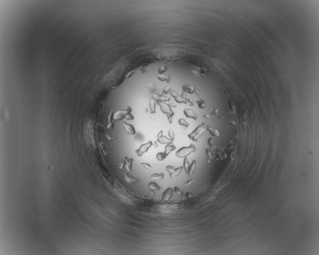 X0000063470575200602101743