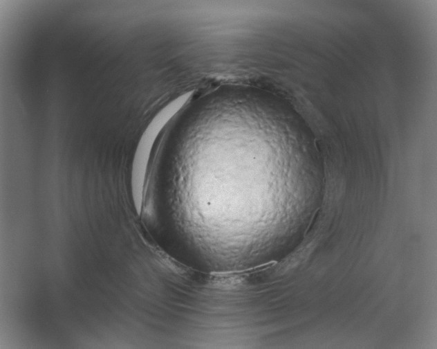 X0000063470576200602101743