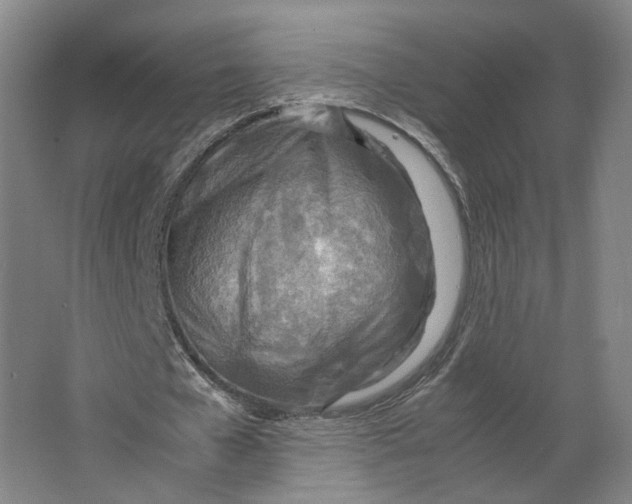 X0000063470577200602101743