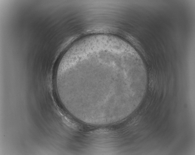 X0000063470578200602101743