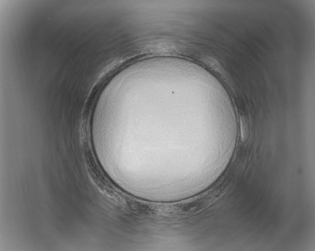 X0000063470579200602101743