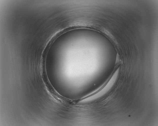 X0000063470580200602101743