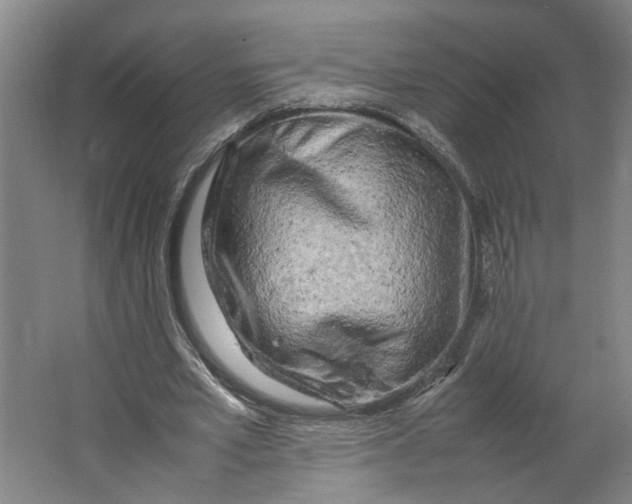 X0000063470581200602101743