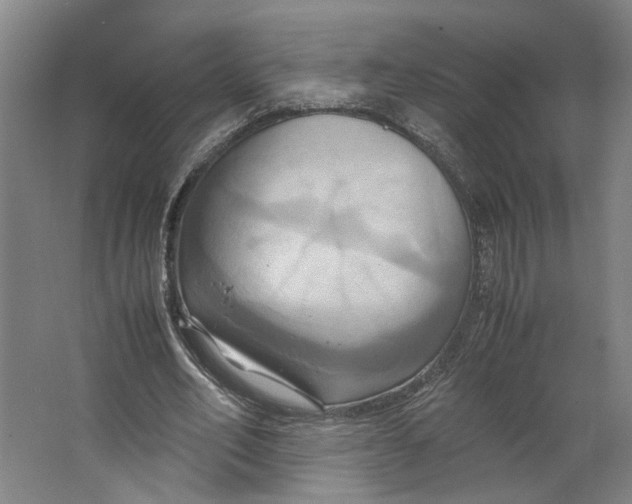 X0000063470582200602101743