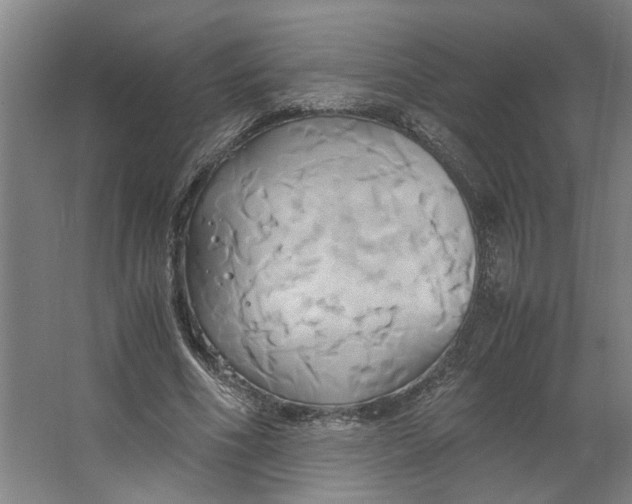 X0000063470586200602101743