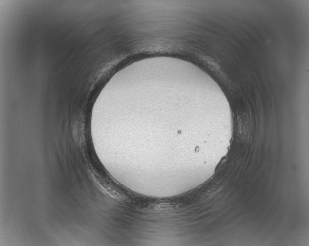 X0000063470588200602101742