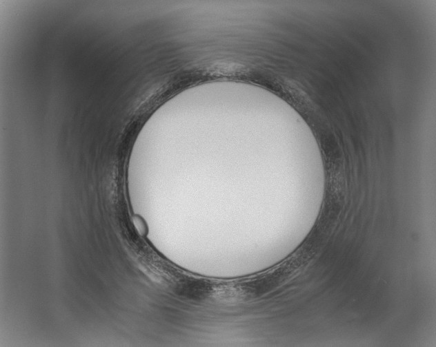 X0000063470591200602101742