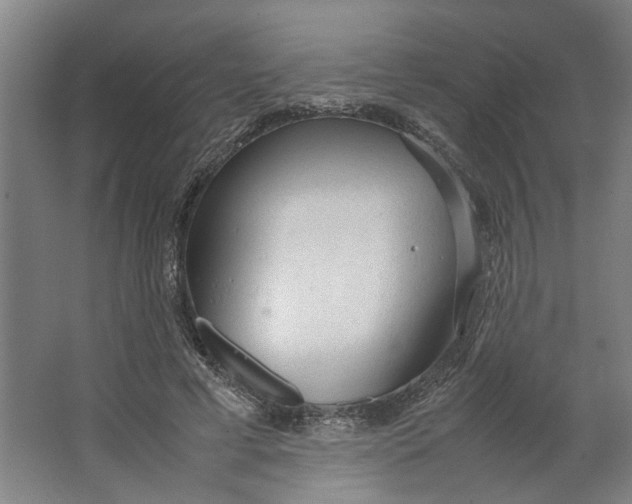 X0000063470593200602101742