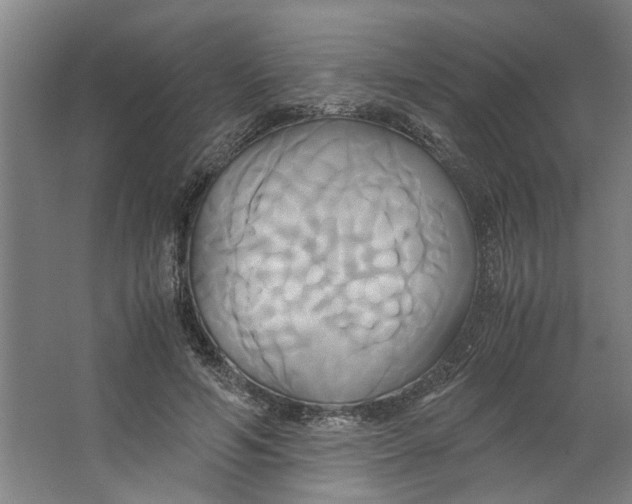 X0000063470594200602101742