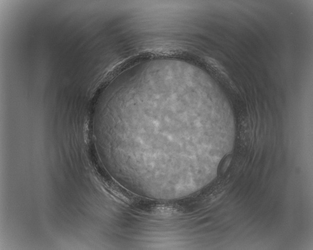 X0000063470596200602101742