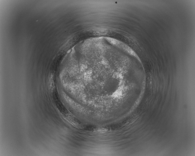 X0000063470598200602101742