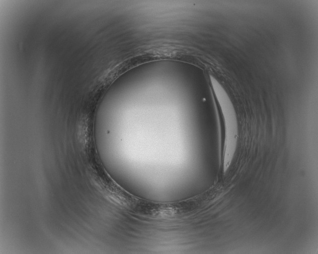 X0000063470600200602101742