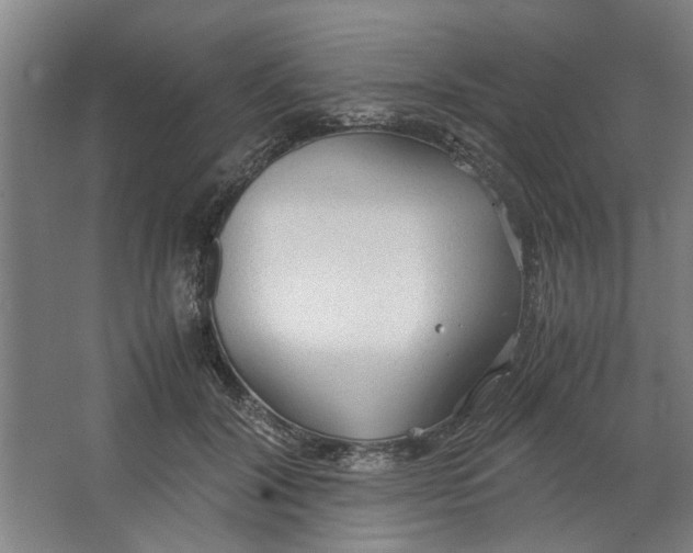 X0000063470604200602101742