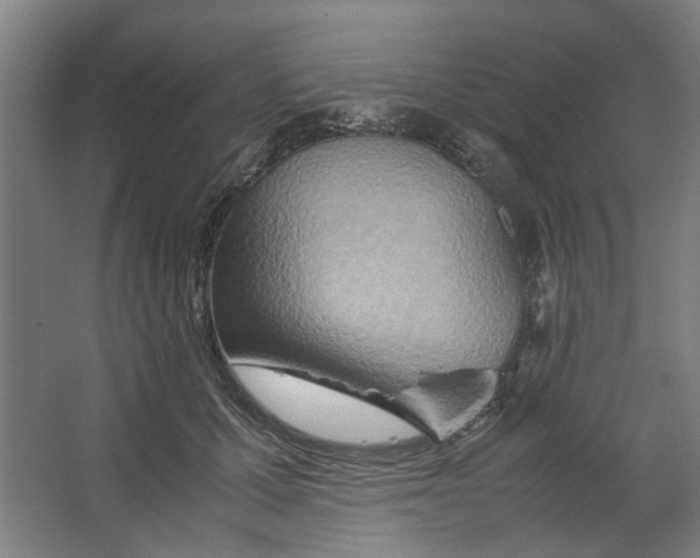 X0000063470607200602101742