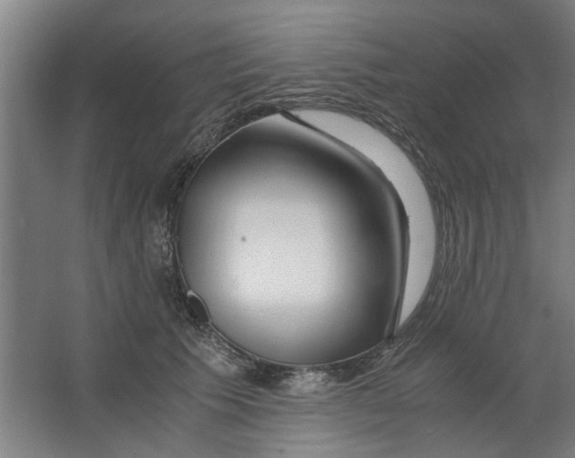 X0000063470609200602101742