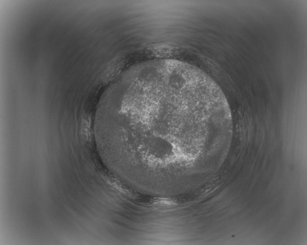 X0000063470610200602101742