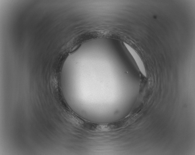 X0000063470613200602101742